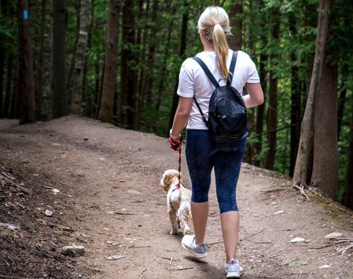 OTL-Gouverneur-Sherbrooke-Randonnée-femme-chien-quebec
