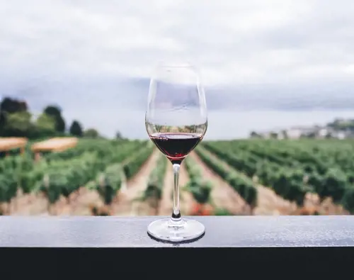 OTL-Gouverneur-Sherbrooke-vineyards-glass-wine