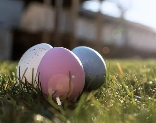 OTL-Gouverneur-Sherbrooke-easter eggs